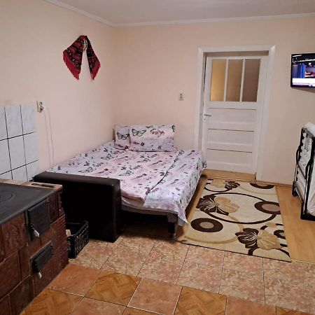 Villa Casa Argentina Cîrţişoara Exterior foto