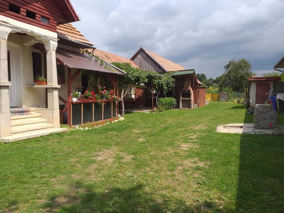 Villa Casa Argentina Cîrţişoara Exterior foto